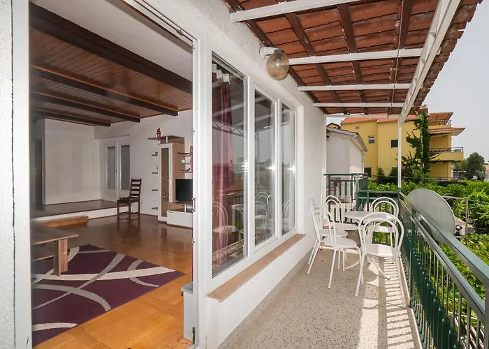 Ervin * ヴォディツェ