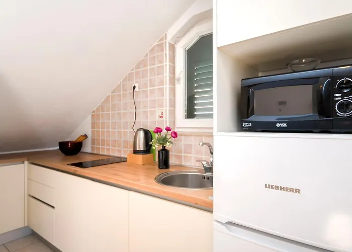 Ervin * ヴォディツェ