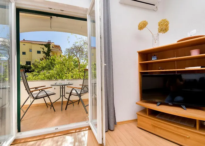 Ervin ヴォディツェ